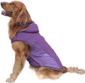 Dog Jackets for Winter, Warm Coat/S for Dogs Winter, Cozy Winter Jackets for Medium Large Dogs, Dog Winter Vest for Small Medium Large Dogs, L